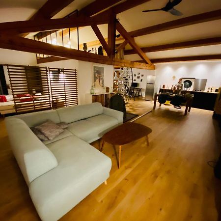 شقة Le Loft Occitanie Sud De France Ceilhes-et-Rocozels المظهر الخارجي الصورة