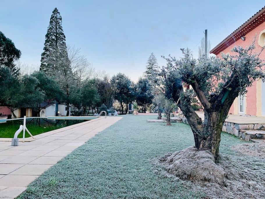 شقة Le Loft Occitanie Sud De France Ceilhes-et-Rocozels المظهر الخارجي الصورة