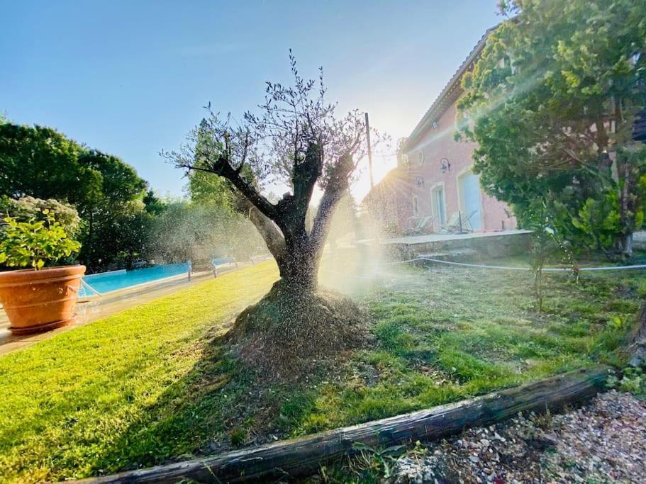 شقة Le Loft Occitanie Sud De France Ceilhes-et-Rocozels المظهر الخارجي الصورة